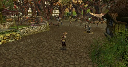 the centre of bree was packed solid with huorns... and catapults :D